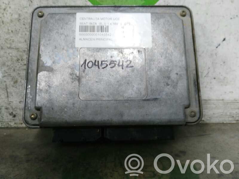 Seat Ibiza III (6L) Centralina/modulo del motore 