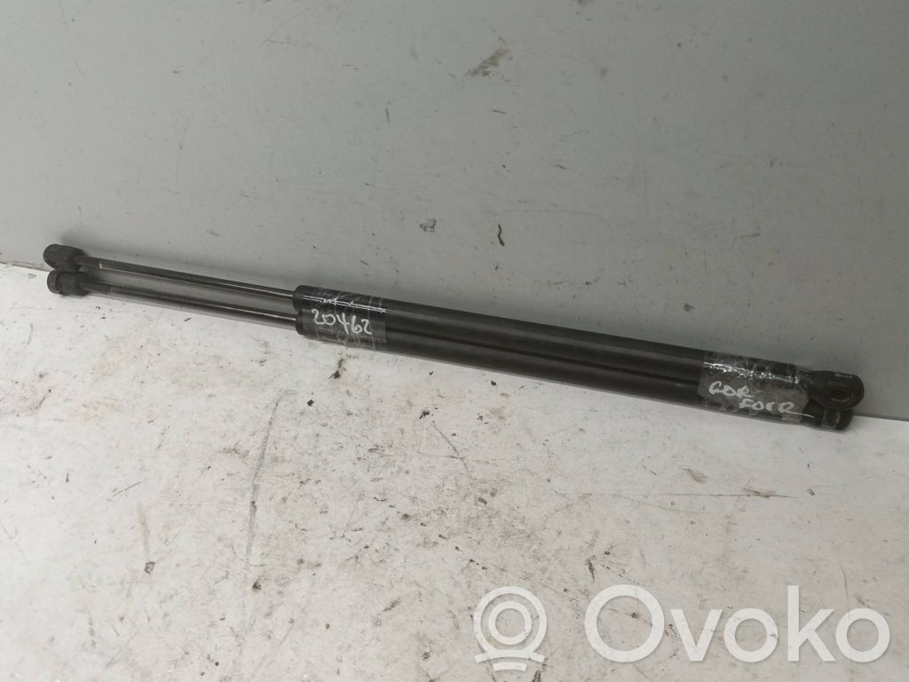 Tailgate/trunk/boot lid buffer
