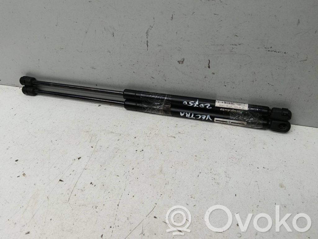 Tailgate/trunk/boot lid buffer   650N