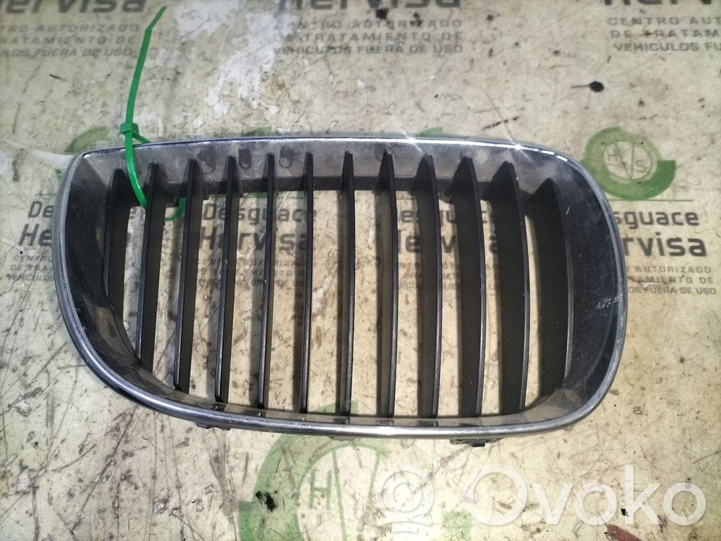 Grille d'aile   71286149