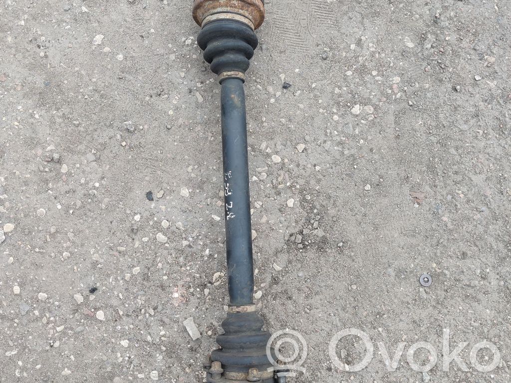 Aizmugurējā pusass   1229141,1229141AI03