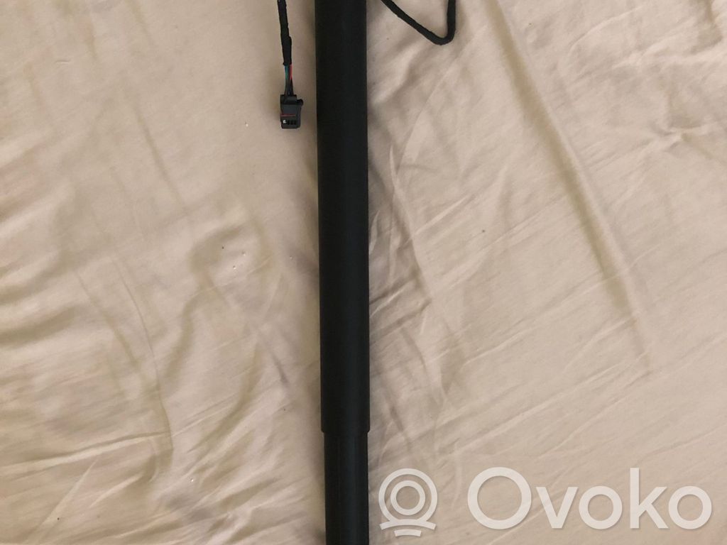 Tailgate/trunk strut/damper