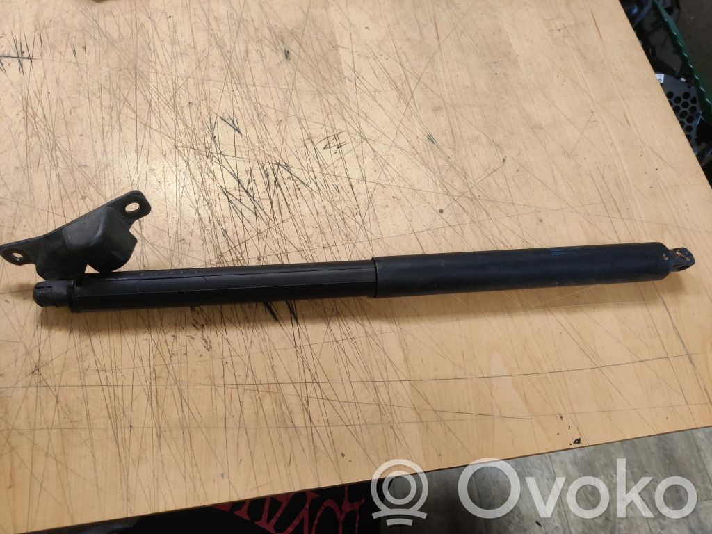 Tailgate/trunk strut/damper   729419901