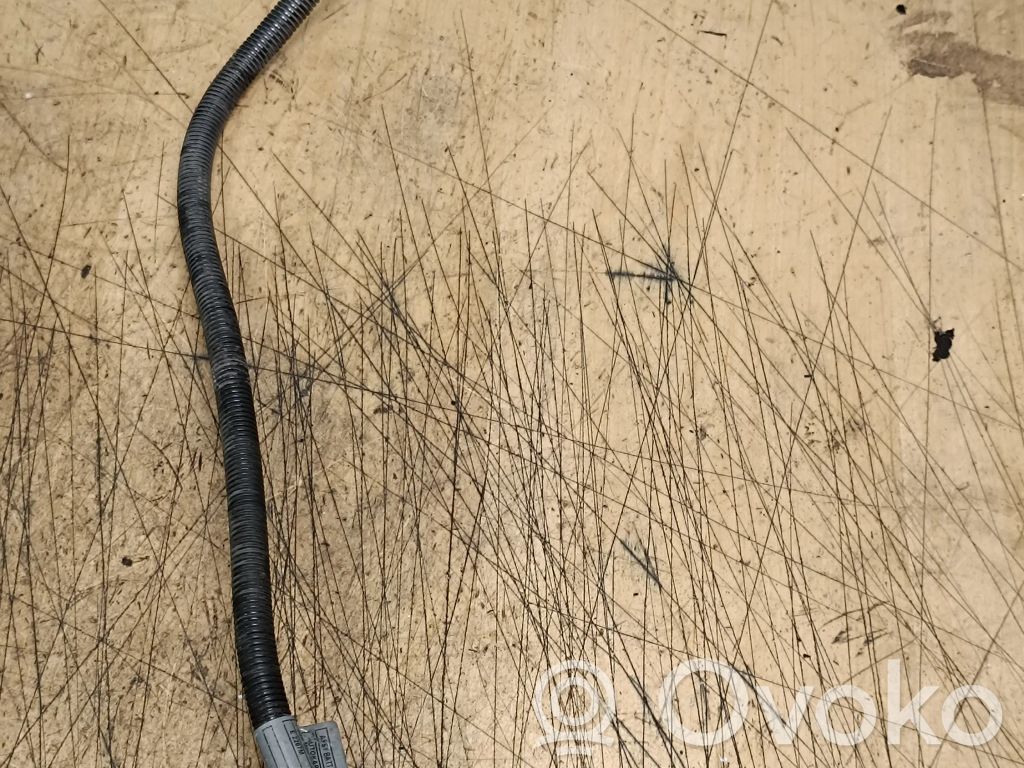 Plusa vads (akumulatora)   143955903,1439559,10299011