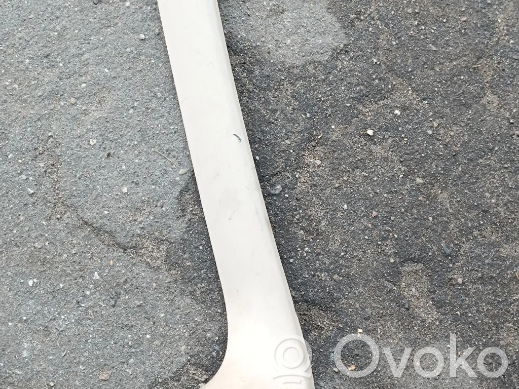 BMW X5 E53 Tailgate trim 