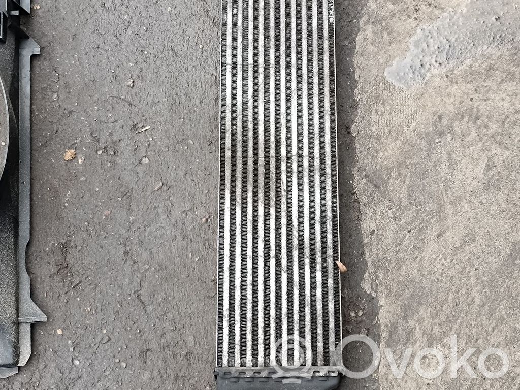 BMW X5 E53 Interkūlerio radiatorius 