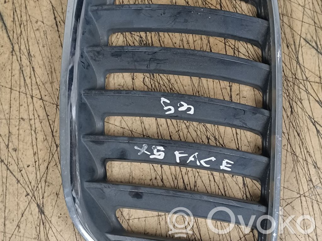 BMW X5 E53 Front grill 