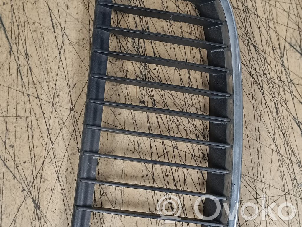 Kühlergrill   22405910,224059