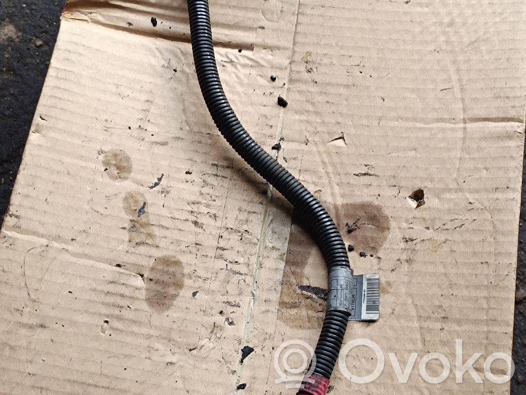 Positive cable (battery)   7795640