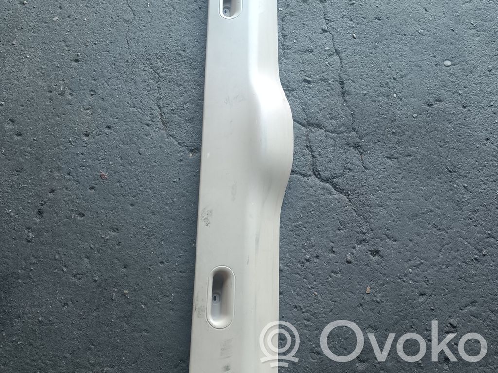 BMW X5 E53 Other trunk/boot trim element 