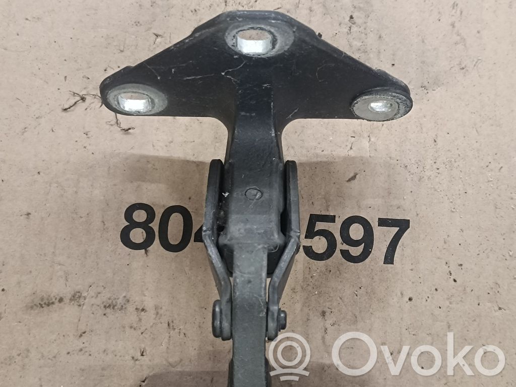 Tailgate/trunk/boot hinge   14187910,141879