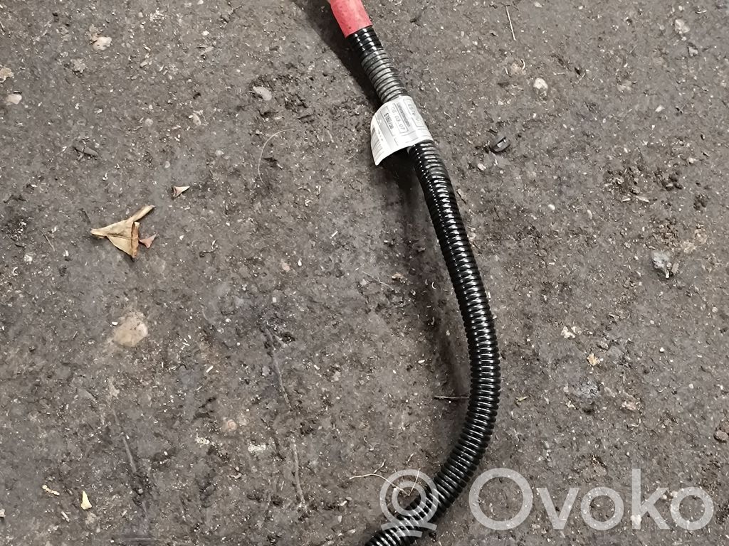 Plusa vads (akumulatora)   7796127