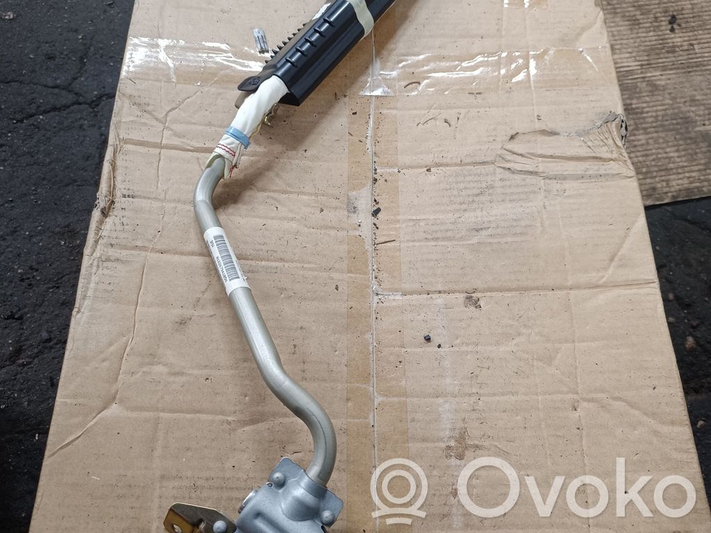 BMW X5 E53 Airbag del techo 