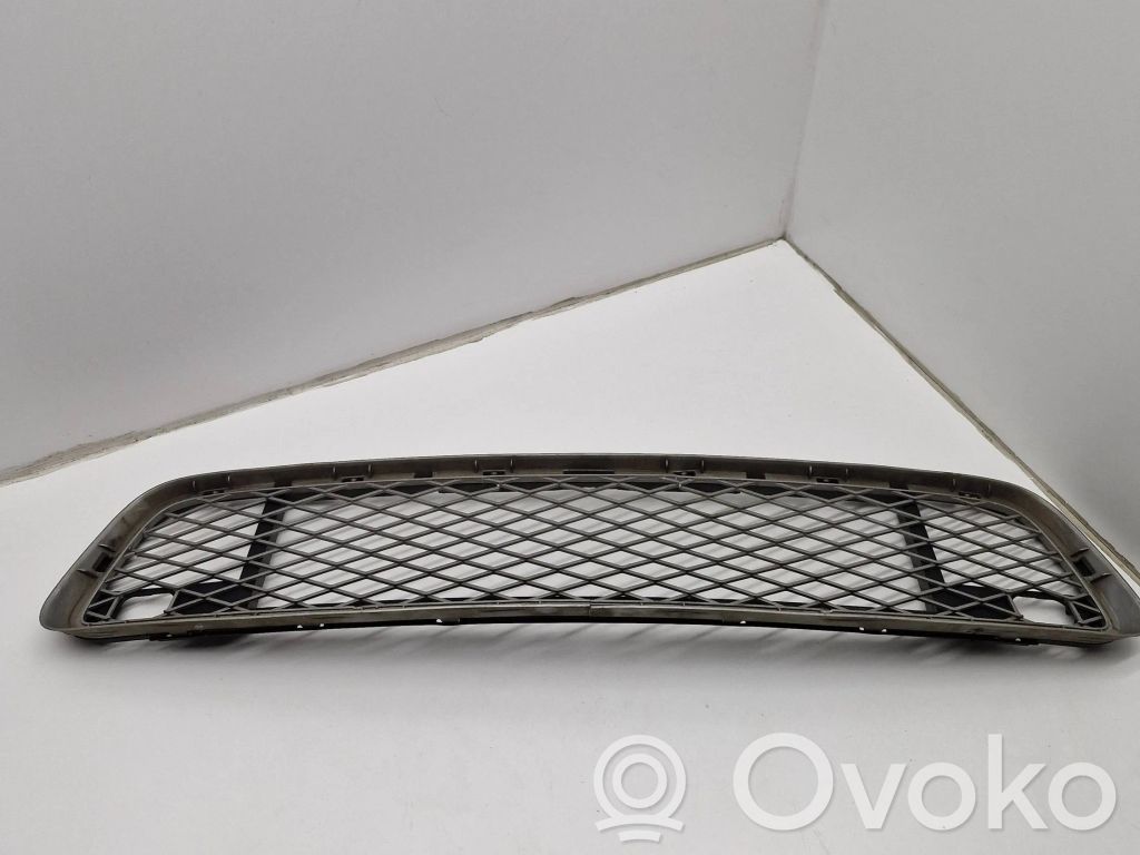 BMW X5 E70 Front bumper lower grill 