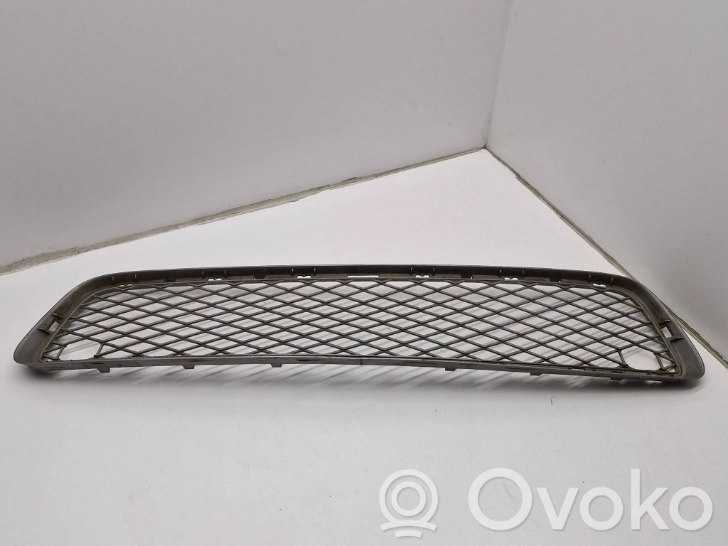 BMW X5 E70 Front bumper lower grill 