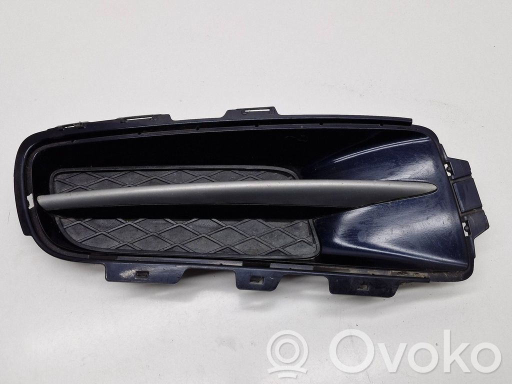 Front bumper lower grill   51117159596,511171689824,7159596