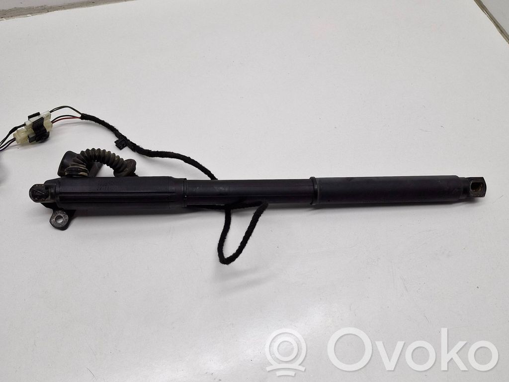 Tailgate/trunk strut/damper   7172060