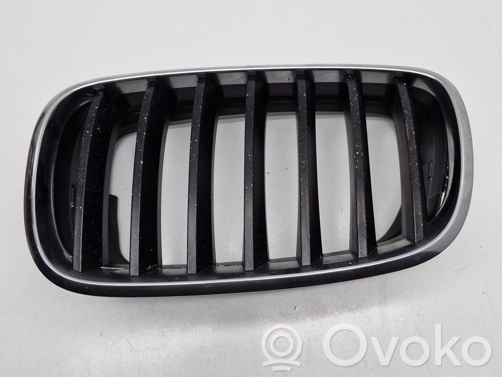 BMW X5 E70 Front grill 