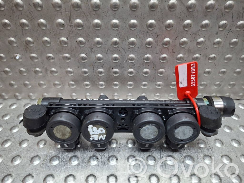 Wtryskiwacz gazu LPG   S25071083,110R000201