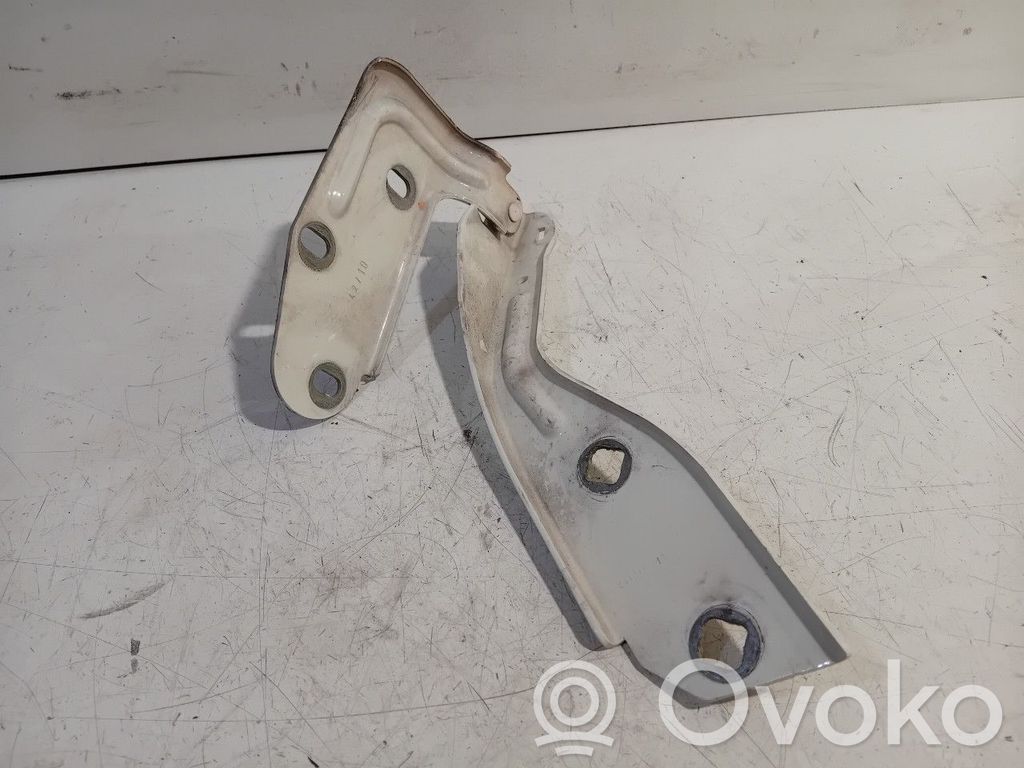 Porsche Cayenne (92A) Cerniere del vano motore/cofano 