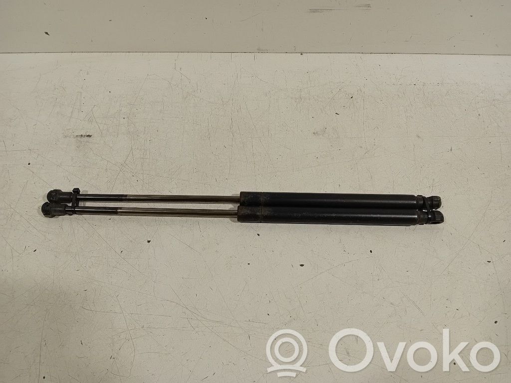 Tailgate/trunk strut/damper   51794232