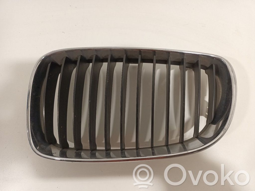 Front grill   51137166439