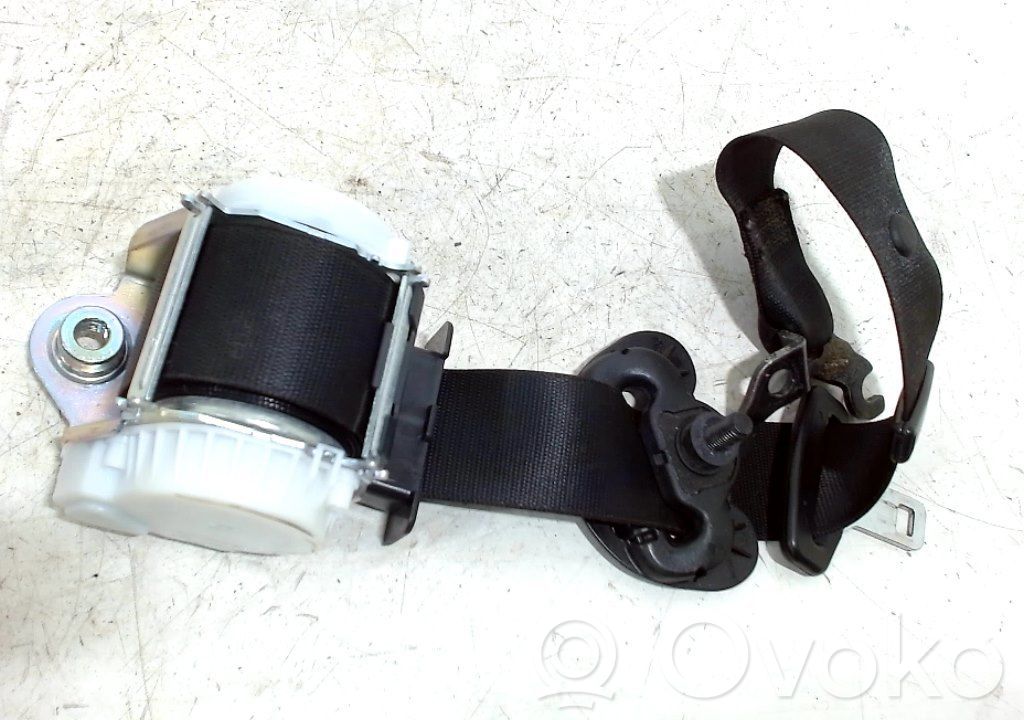 Cinturón delantero   S19117219
