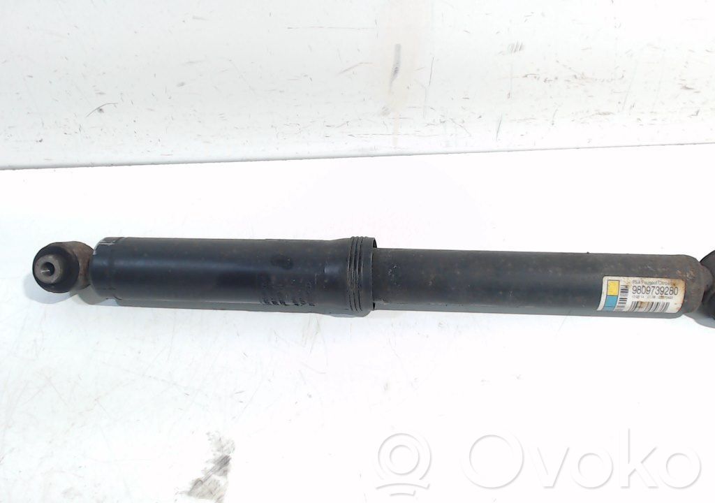Stoßdämpfer hinten