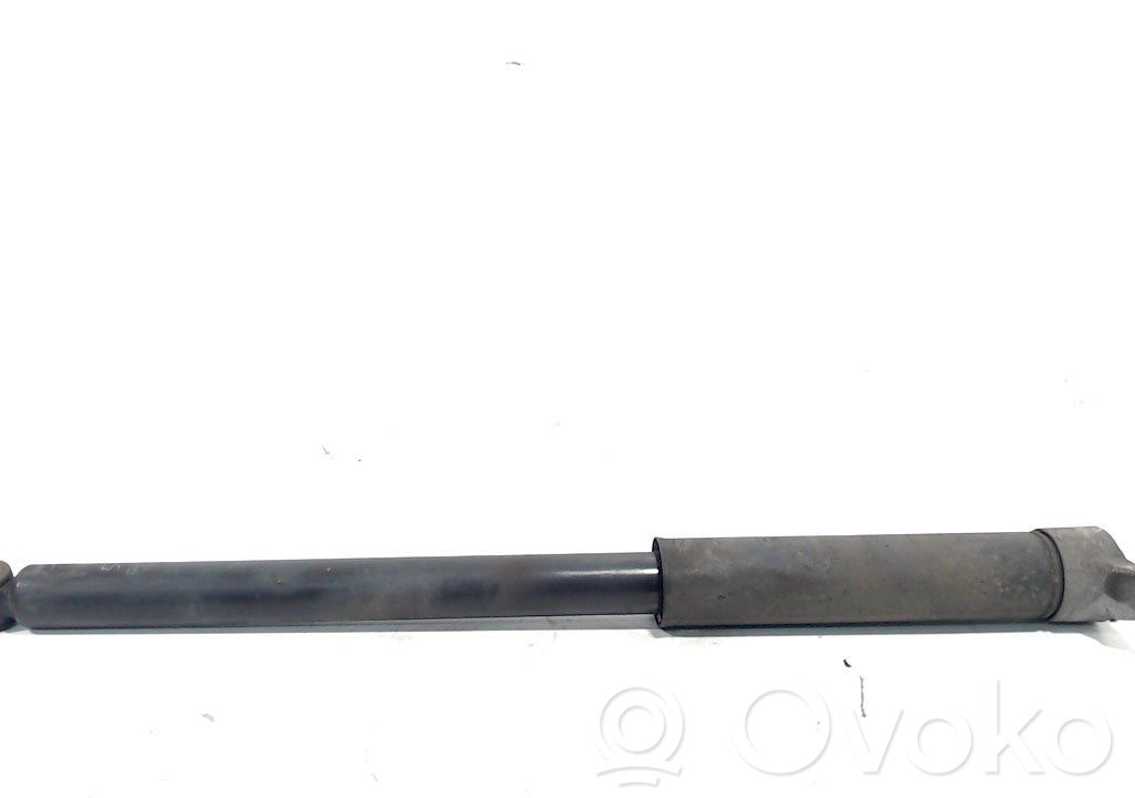 Stoßdämpfer hinten