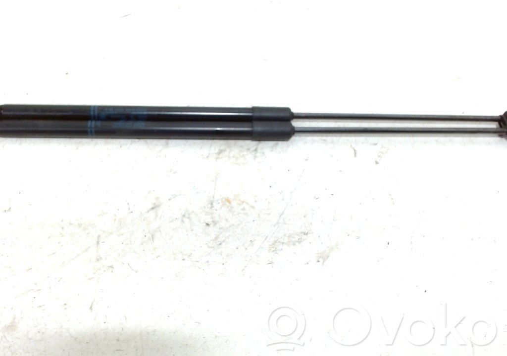 Tailgate/trunk strut/damper   39089133