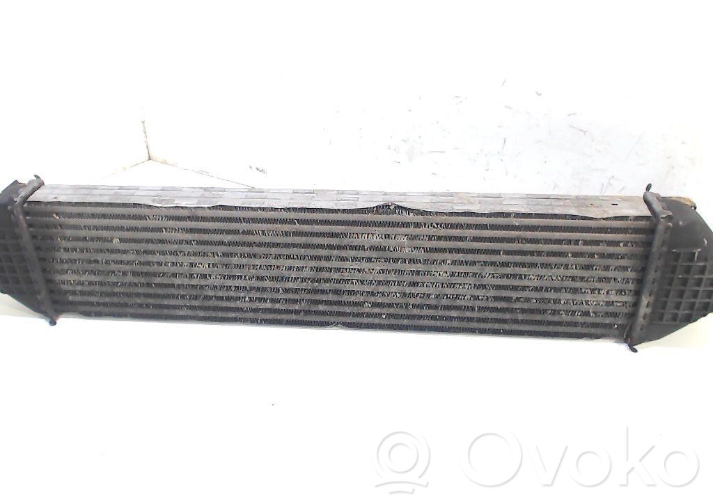 Interkūlerio radiatorius   31319168