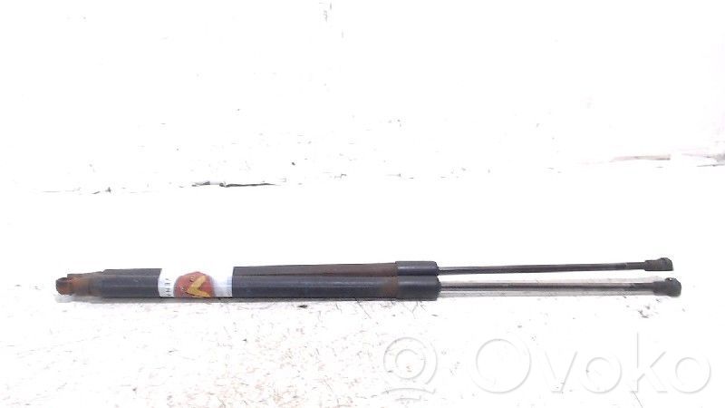 Tailgate/trunk strut/damper