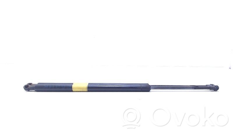 Tailgate/trunk strut/damper   8402405