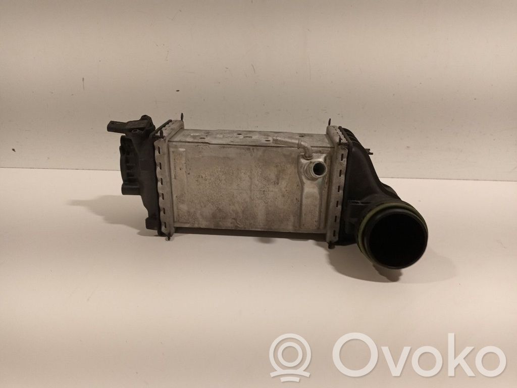 Audi A3 8Y Interkūlerio radiatorius 
