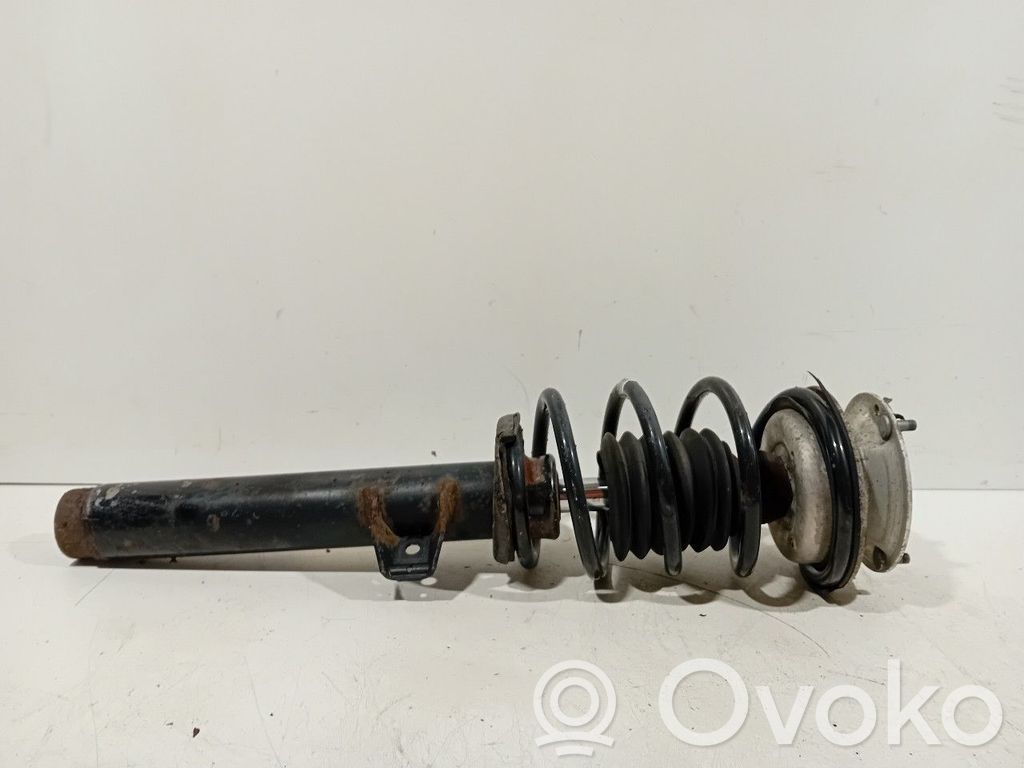 Stoßdämpfer vorne   6789573