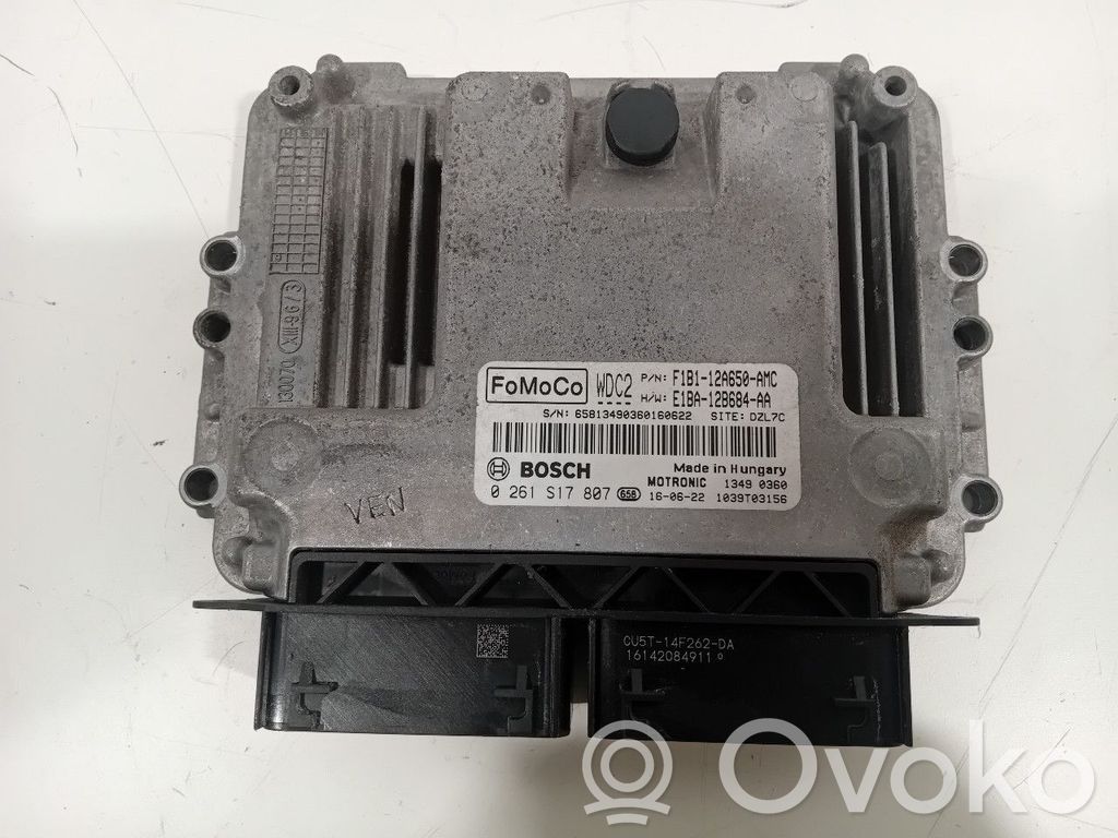 Engine control unit/module   F1B112A650AMC