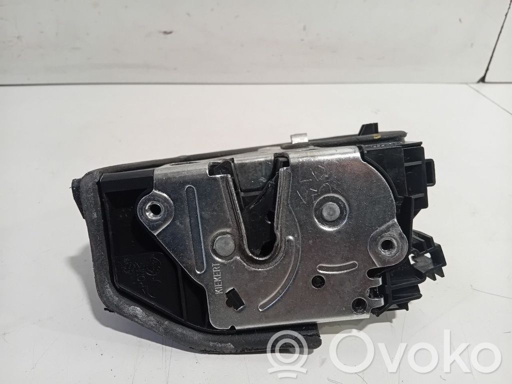 Mini Cooper Countryman R60 Front door 
