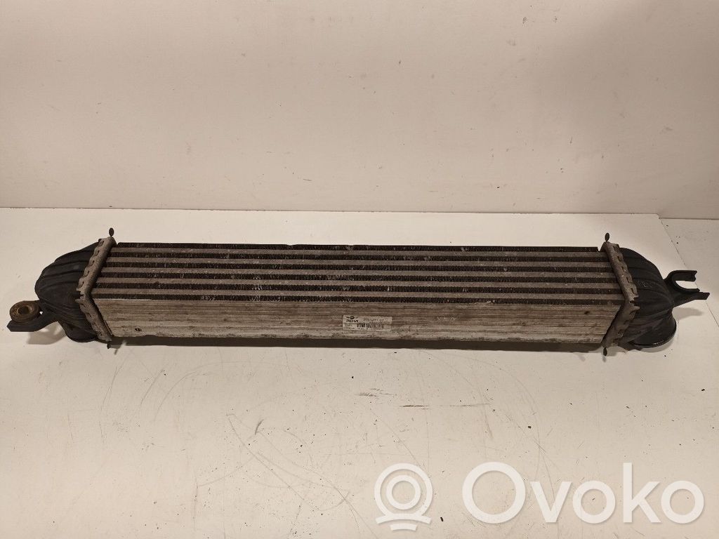 Mini Cooper Countryman R60 Starpdzesētāja radiators 