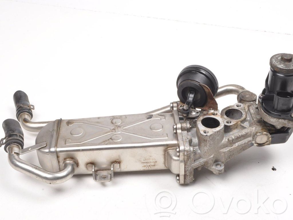 Skoda Fabia Mk2 (5J) Válvula EGR 