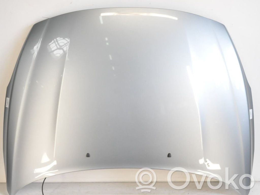 Motorhaube