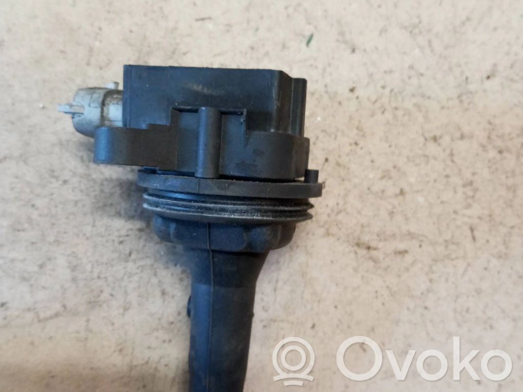 Volvo V50 Aukštos įtampos ritė "babyna" 