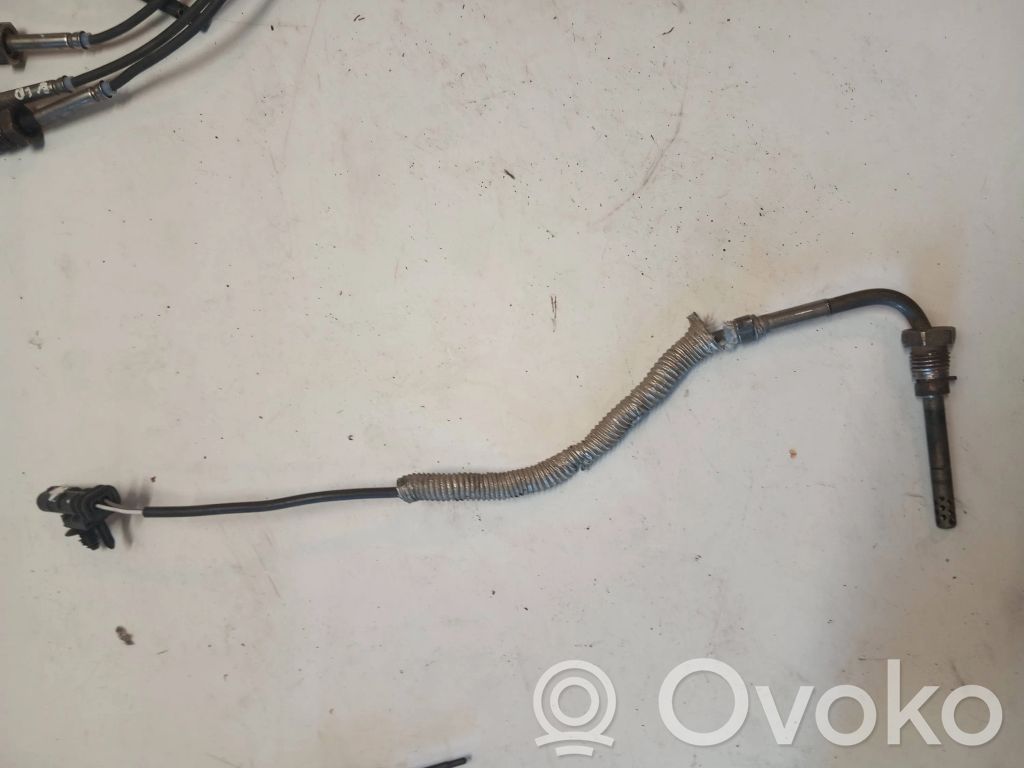 Volvo S80 Išmetamųjų dujų temperatūros daviklis 