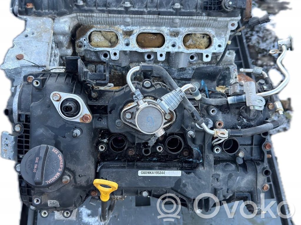 Hyundai Palisade Engine 