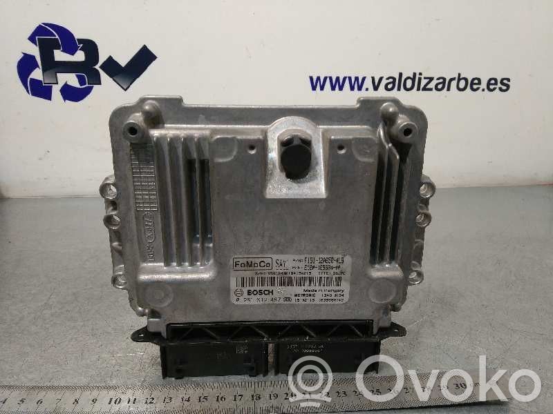 Engine control unit/module   F1B112A650ALB,1870841,0261S12487