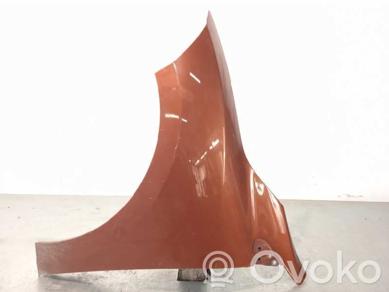 Renault Megane III Fender 