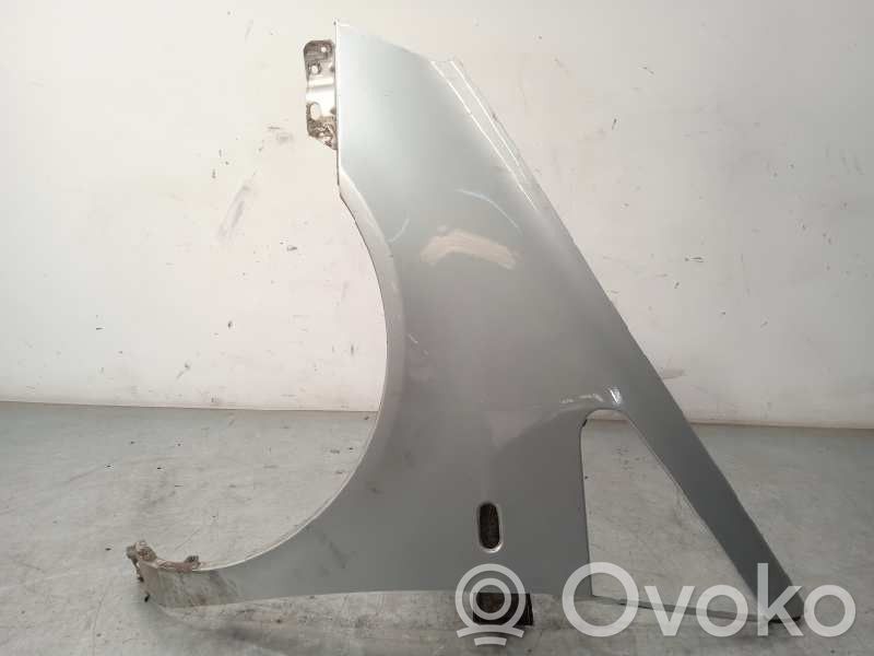 Ford Galaxy Sparnas 