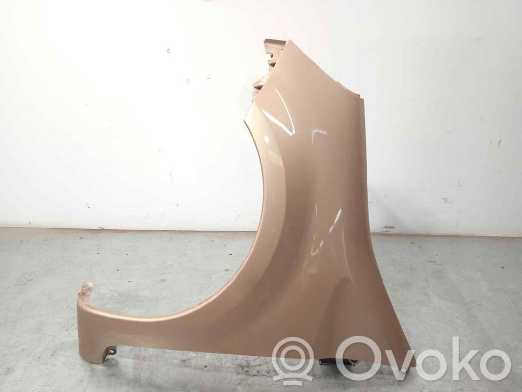 Renault Modus Fender 