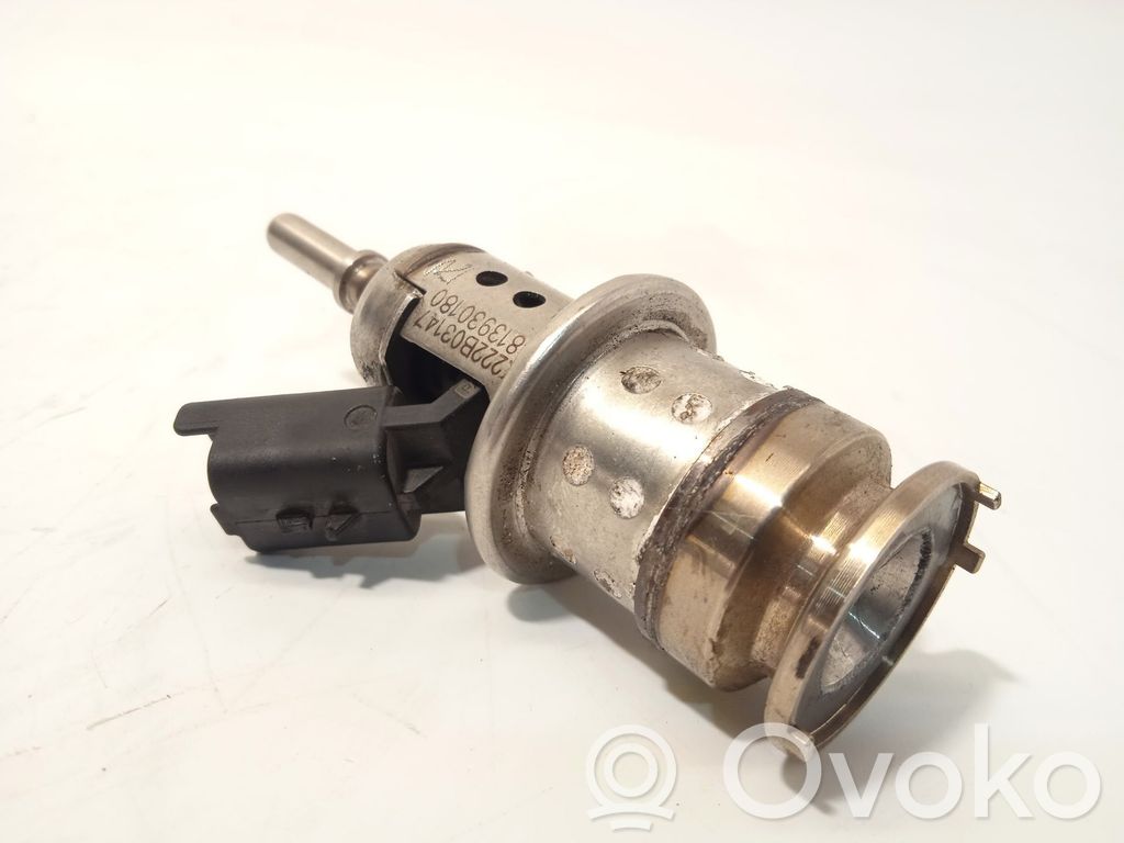 Injektor Einspritzdüse   9813930180