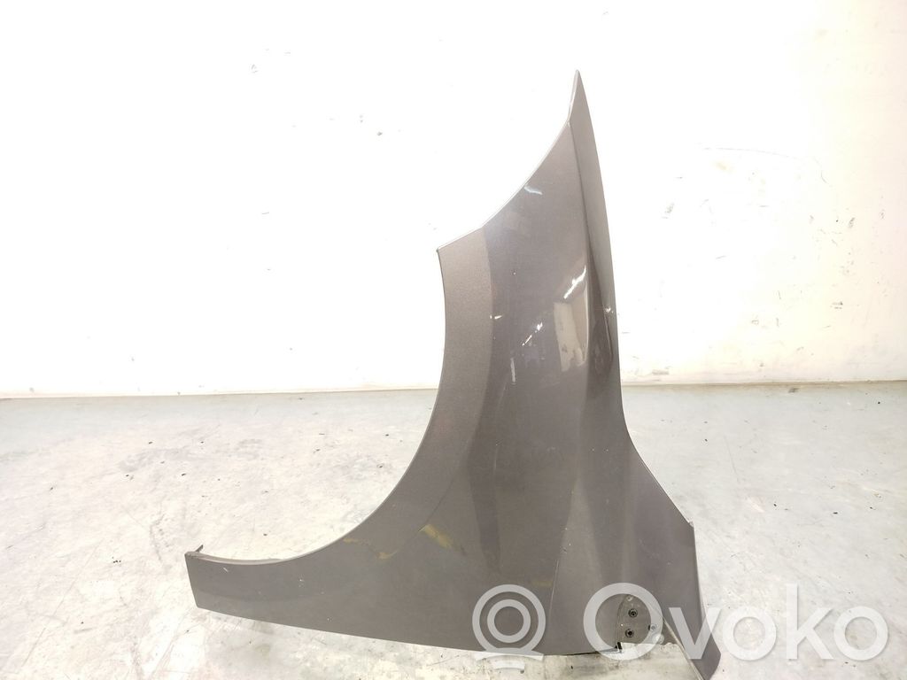 Renault Megane III Fender 