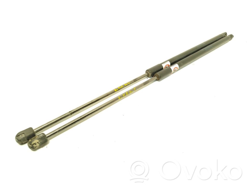 Ford C-MAX II Tailgate/trunk strut/damper 